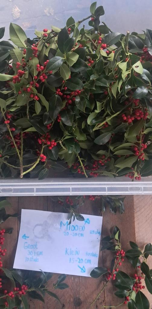 Hulst takken met rode bessen - kerstdecoratie, Diversen, Kerst, Ophalen of Verzenden