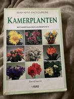 Mooi boek over kamerplanten, Ophalen of Verzenden, Zo goed als nieuw, Interieur en Design