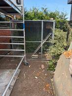 Kooi, Dieren en Toebehoren, Vogels | Duiven, Meerdere dieren, Postduif