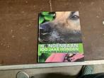 herder herdershond doberman politiehond, Ophalen, Zo goed als nieuw, Honden