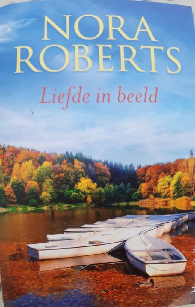 Nora Roberts  - Liefde in beeld, Boeken, Romans, Zo goed als nieuw, Ophalen of Verzenden