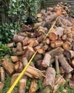 Openhaardhout, kachelhout - Dennen gezaagd in blokken, Blokken, Ophalen, 6 m³ of meer, Overige houtsoorten