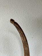 Oude benen, medicijnkalender, buffalo rib, Batak, Indonesie, Antiek en Kunst, Kunst | Niet-Westerse kunst, Ophalen of Verzenden