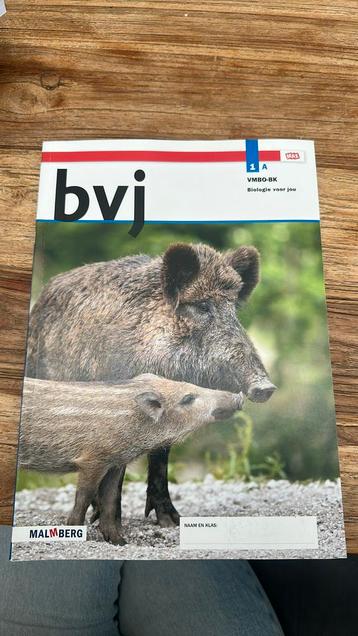 Leerwerkboek A beschikbaar voor biedingen