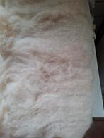 Kaardvlies  Solognote schaap, Ophalen of Verzenden, Nieuw, Spinwol