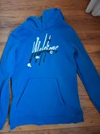 Malelions trui, Ophalen of Verzenden, Zo goed als nieuw, Jongen, Trui of Vest