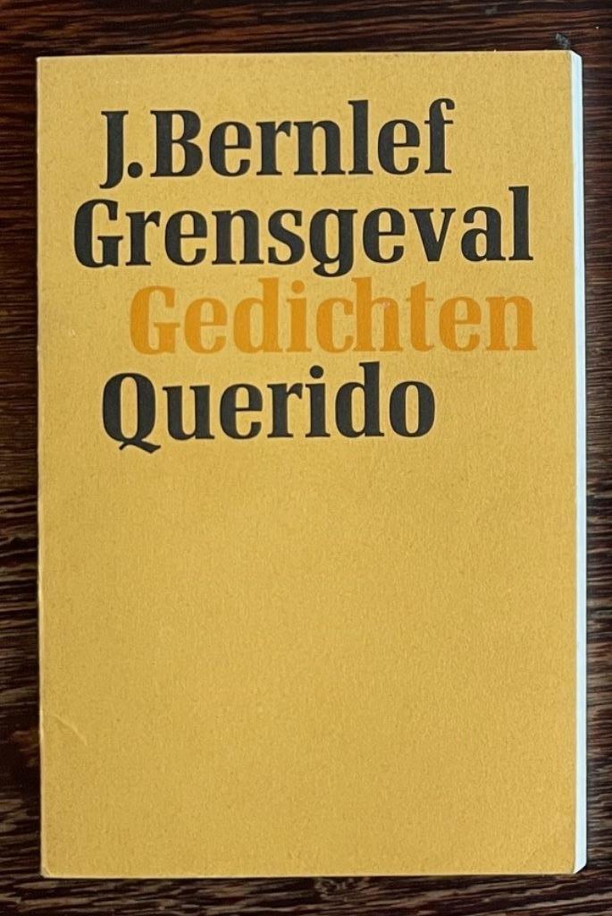 J. Bernlef – Grensgeval – 1e druk, Boeken, Gedichten en Poëzie, Zo goed als nieuw, Ophalen of Verzenden