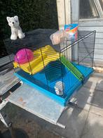 1 Hamster kooi vaste prijs, Kooi, Minder dan 75 cm, Zo goed als nieuw, Hamster