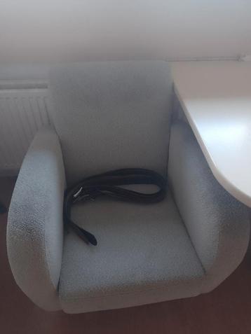 Fauteuil met teddy stof