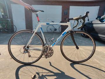 gepida 58 inch Shimano set beschikbaar voor biedingen