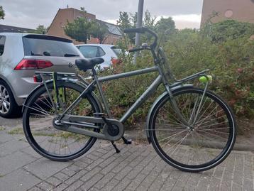 Cortina jonges fiets  beschikbaar voor biedingen