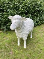 (Tuin)Beeld schaap, Wit, tuin, boerderij, gazon 65cm, Tuin en Terras, Ophalen, Nieuw, Kunststof, Dierenbeeld
