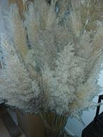 Pluimen heel geschikt voor bruiloft decoratie, Huis en Inrichting, Ophalen of Verzenden