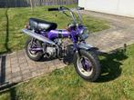 Honda dax 1969, Fietsen en Brommers, Brommers | Honda, Ophalen, Maximaal 45 km/u, Zo goed als nieuw, 2 versnellingen