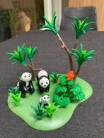 Playmobil Panda familie 3241, Ophalen of Verzenden, Zo goed als nieuw, Complete set