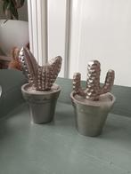 Rivièra Maison " zilveren cactussen ", Huis en Inrichting, Woonaccessoires | Overige, Ophalen of Verzenden, Zo goed als nieuw