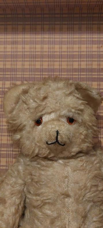 Vintage teddybeer beschikbaar voor biedingen