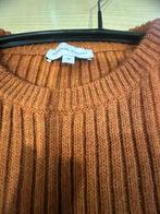 FABIENNE CHAPOT TRUI M, Kleding | Dames, Truien en Vesten, Ophalen of Verzenden, Zo goed als nieuw