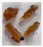 Nog 3 x barnsteen, Polen, met insecten, prijs per stuk, Ophalen of Verzenden