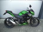 Kawasaki Z300 en BMW G310GS, 300 cc, Minimaal motorrijbewijs A2, ABS, 12 t/m 35 kW