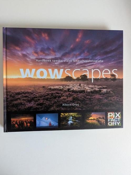 Albert Dros - WOWscapes, Boeken, Hobby en Vrije tijd, Zo goed als nieuw, Fotograferen en Filmen, Ophalen of Verzenden