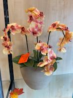 Prachtige kunst orchidee, Nieuw, Ophalen of Verzenden, Insta-Green, Herenstraat 37, voorhout