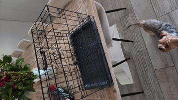 Bench voor kleine hond beschikbaar voor biedingen