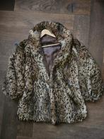 Prachtige Bontjas, Kleding | Dames, Jassen | Winter, Bruin, Onbekend, Gedragen, Ophalen
