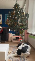 GRATIS KERSTBOOM, Diversen, Kerst, Ophalen of Verzenden, Gebruikt
