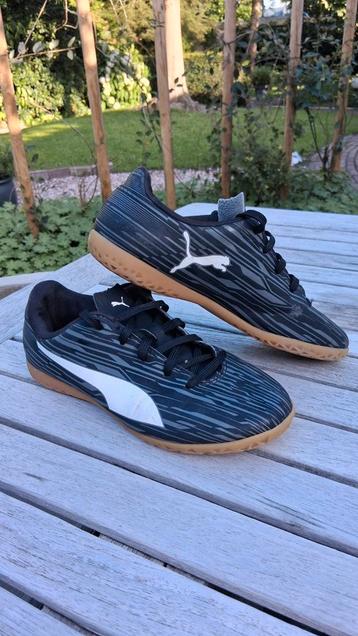 PUMA zaalvoetbalschoen / gymschoen beschikbaar voor biedingen