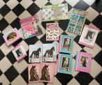 Paarden pakket spullen nieuw pony schriften stickers, Ophalen of Verzenden, Nieuw, Paarden of Pony's