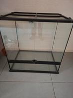Exoterra Terrarium 60x60x45, Dieren en Toebehoren, Reptielen en Amfibieën | Toebehoren, Ophalen, Zo goed als nieuw