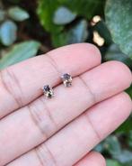 Rookkwarts Ovale Oorknoppen - Echt Zilver, Bruin, Verzenden, Info@lavicollection.com, Nieuw