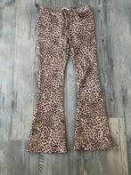 Toxik 3 gecoate flaired broek maat 40, Kleding | Dames, Broeken en Pantalons, Gedragen, Lang, Maat 38/40 (M), Ophalen of Verzenden