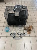 Hamsterkooi met toebehoren, Dieren en Toebehoren, Kooi, Minder dan 75 cm, Zo goed als nieuw, Ophalen