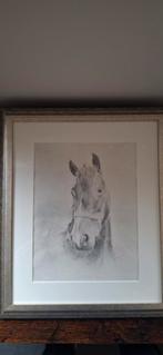 Paard Tekening Ingelijst, Antiek en Kunst, Ophalen