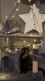 Gratis, Dieren en Toebehoren, Poes, Ontwormd, 0 tot 2 jaar