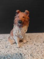 Schotse collie, Ophalen of Verzenden, Dier