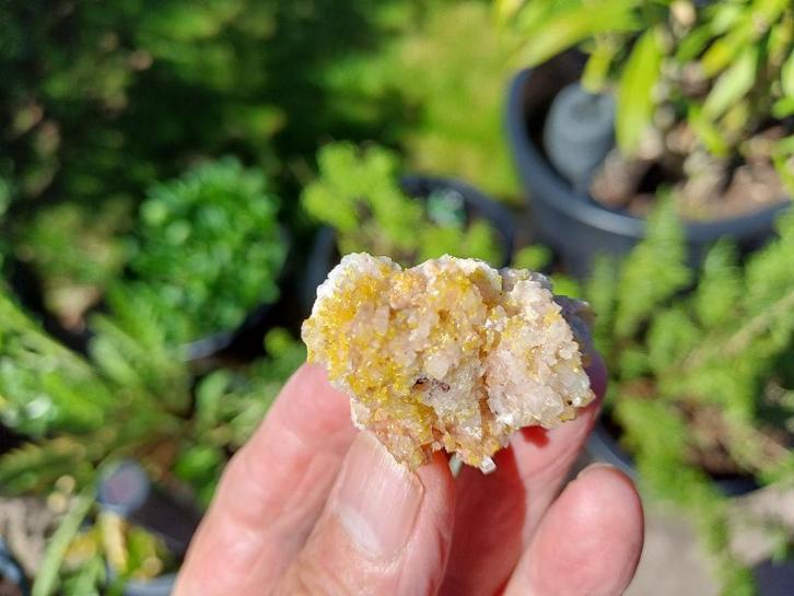 RB557 Mimetiet Mimetesiet Ojuala Mine Mexico #collectie, Verzamelen, Mineralen en Fossielen, Mineraal, Ophalen of Verzenden