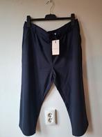 Only Carmakoma d-blauwe classic knickers maat: 46, Kleding | Dames, Blauw, Maat 46/48 (XL) of groter, Nieuw, Ophalen of Verzenden