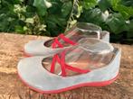 Nieuwe ballerina's van Loints of holland maat 37, Blauw, Loints of holland, Nieuw, Loints of holland
