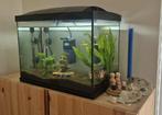 Superfish Aquarium 50 starterskit, Dieren en Toebehoren, Vissen | Aquaria en Toebehoren, Ophalen, Nieuw, Leeg aquarium