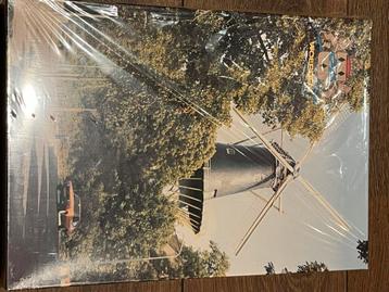 Legpuzzel 1000 st. Molen De Windhond beschikbaar voor biedingen