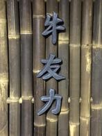 Japanse tekens Vriendschap Vertrouwen & Kracht nr.129