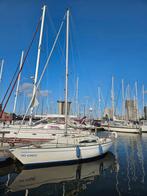 Albin 7.9 kajuit zeilboot, Ophalen, Gebruikt, Diesel, Tourjacht of Cruiser