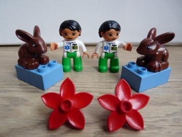 * Duplo: 2 keer 5685 Dierenarts met konijn * Dieren, arts * beschikbaar voor biedingen