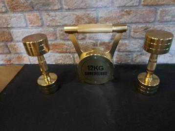 Gouden dumbbells + kettlebell  beschikbaar voor biedingen