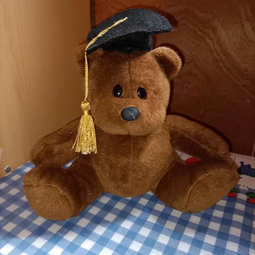 Jamin geslaagd beer knuffel 24 cm groot, Kinderen en Baby's, Speelgoed | Knuffels en Pluche, Beer, Ophalen of Verzenden