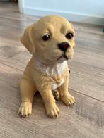 Stenen Beeldje Pup, Ophalen, Zo goed als nieuw, Dier