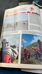 Taptoe 1979 inca s, Ophalen of Verzenden, 1960 tot 1980, Tijdschrift